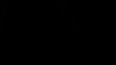 12303