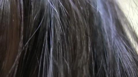 12159