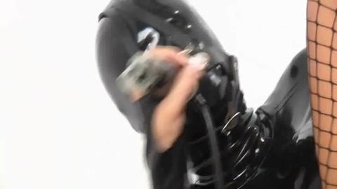 11558