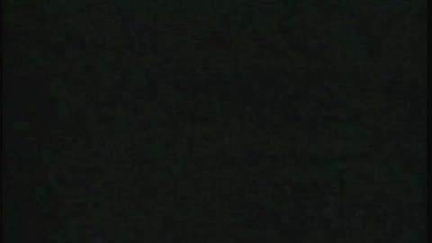 3945
