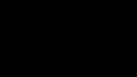 30329